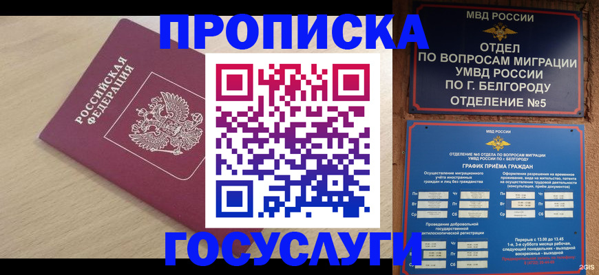 прописка законно в Судогде